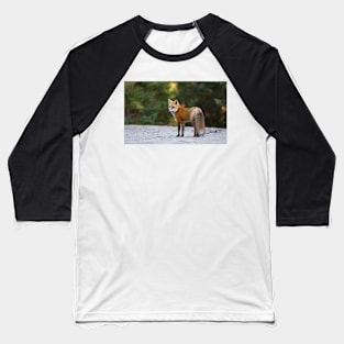 Red Fox - Algonquin Park, Canada Baseball T-Shirt